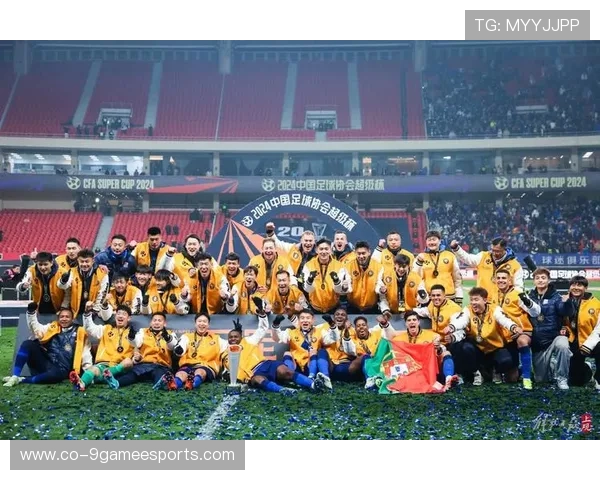 上海申花足球队历任顶级球星盘点与精彩表现回顾