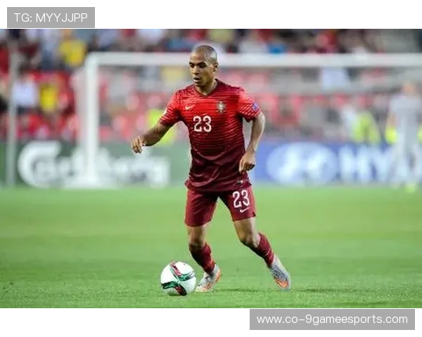 美国足球运动员的崛起与发展：从职业生涯到国家队表现分析